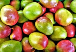 Mango je rostlina s dlouholetou historií, na jejíž vypěstování vám stačí jen pecka