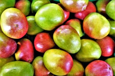 Mango je rostlina s dlouholetou historií, na jejíž vypěstování vám stačí jen pecka