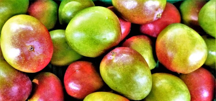 Mango je rostlina s dlouholetou historií, na jejíž vypěstování vám stačí jen pecka