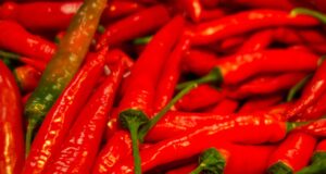 Zralé červené chilli papričky na keři
