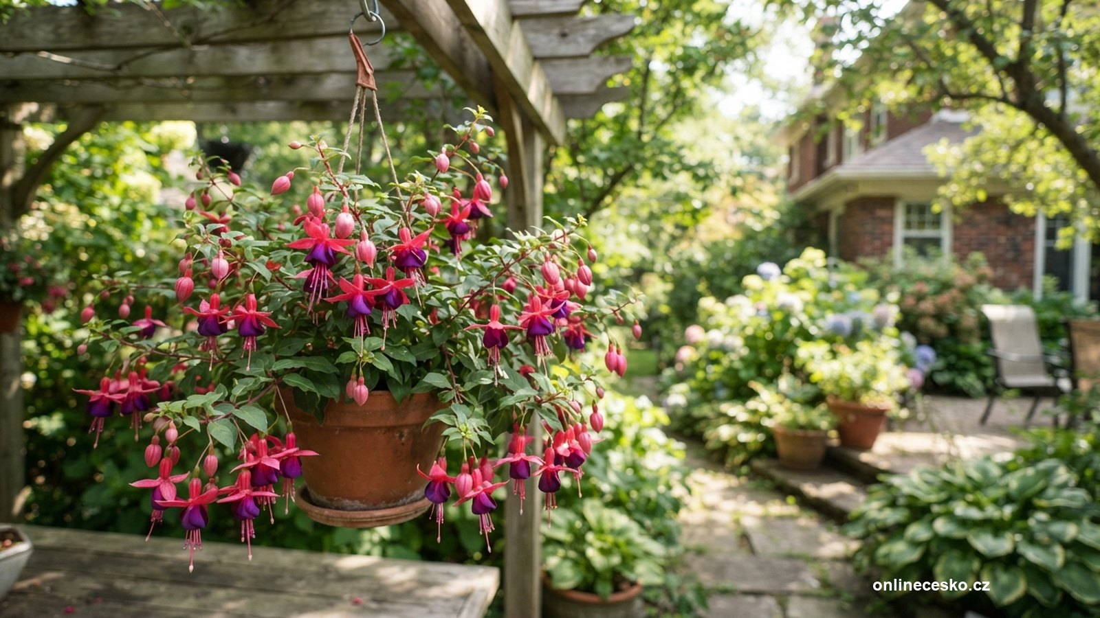 Fuchsie: pěstování a přezimování