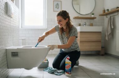 Ilustrační fotografie k tématu jak vyčistit wc a odstranit usazeniny